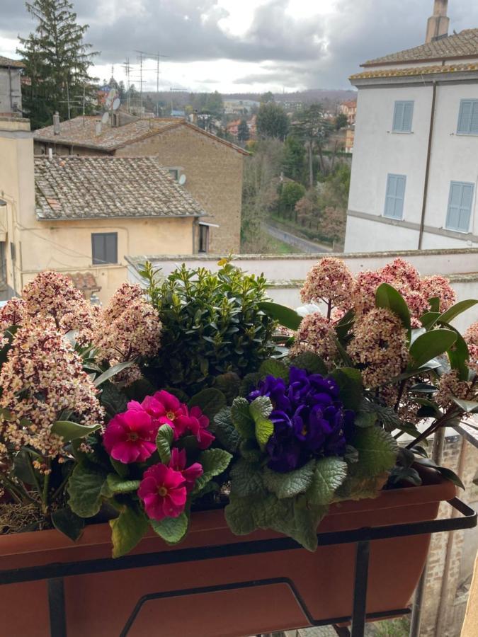 La casetta nel granaio Capranica Esterno foto